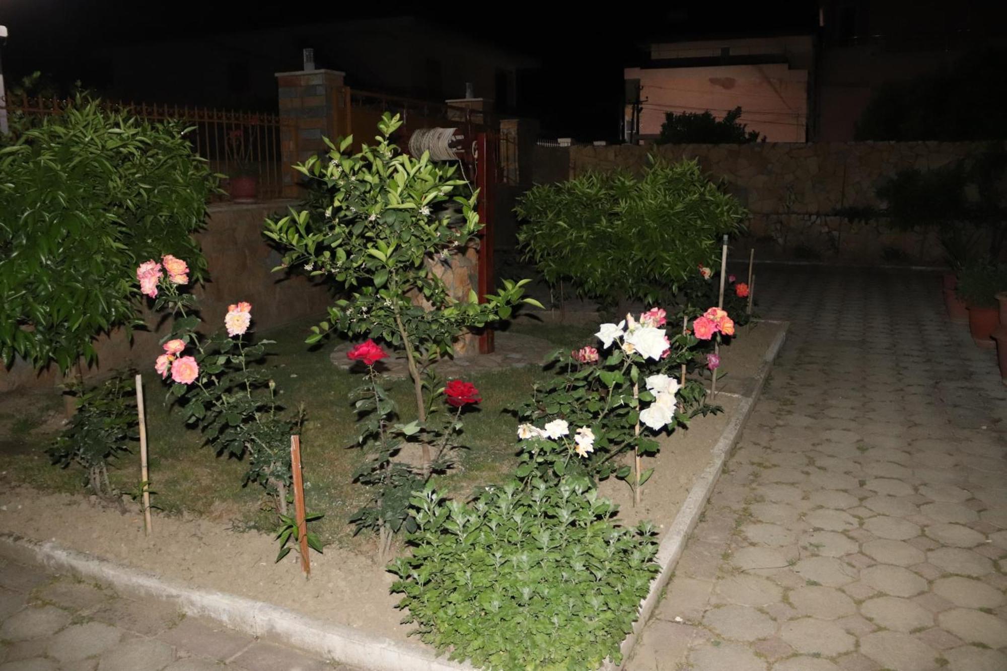 בראט Raisa Guesthouse 12 מראה חיצוני תמונה